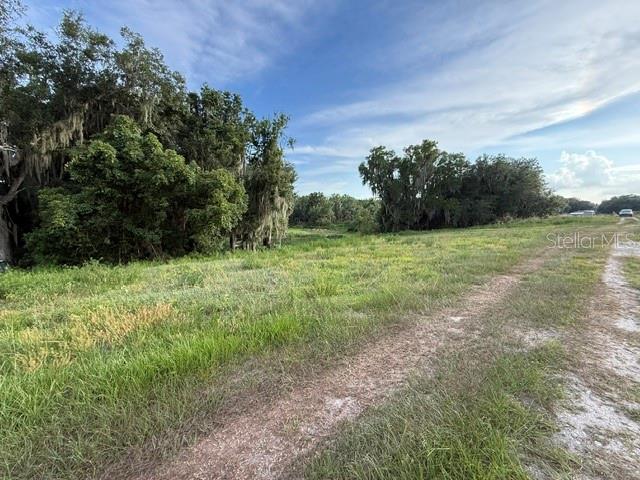 Pool Branch Road Fort Meade, FL 33841 - Photo 3 of 15 a view of a field with an trees