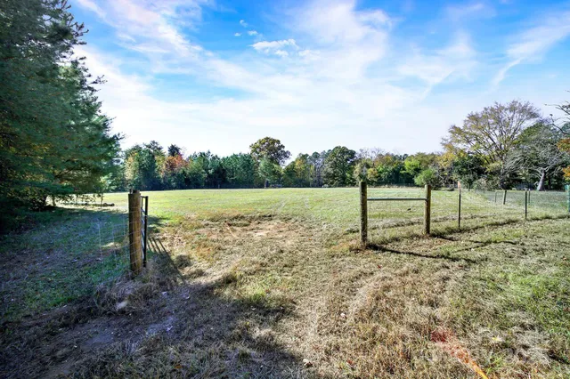 a view of a field with trees in the background