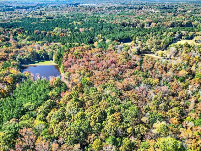 view of a city with lush green forest