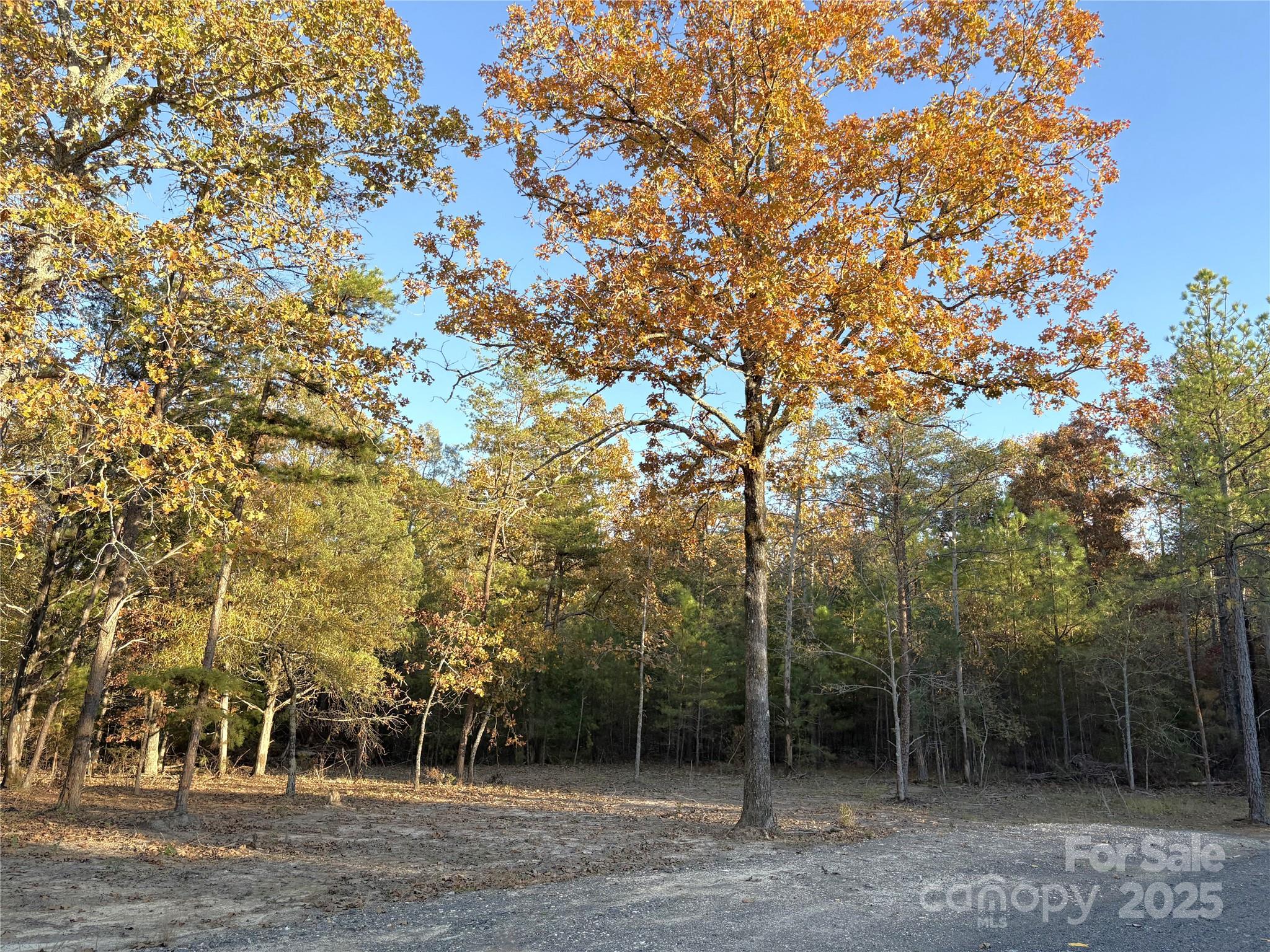 1932 Douglas Road Lancaster, SC 29720 - Photo 4 of 22