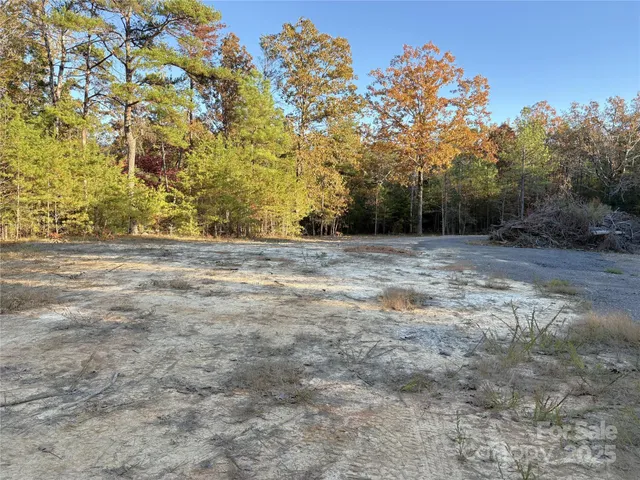 a view of a yard with a tree