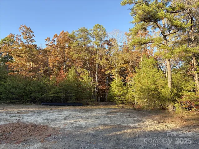 a view of a yard with trees