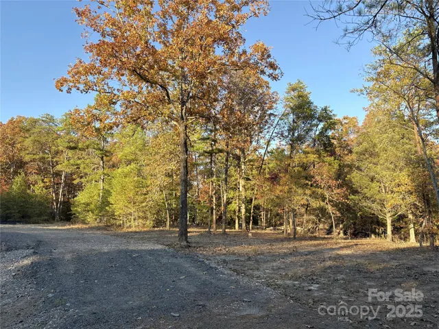 a view of road and trees