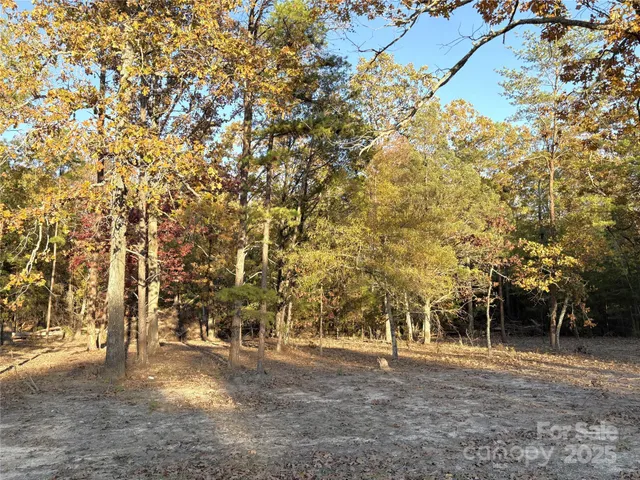 a view of a yard with a trees