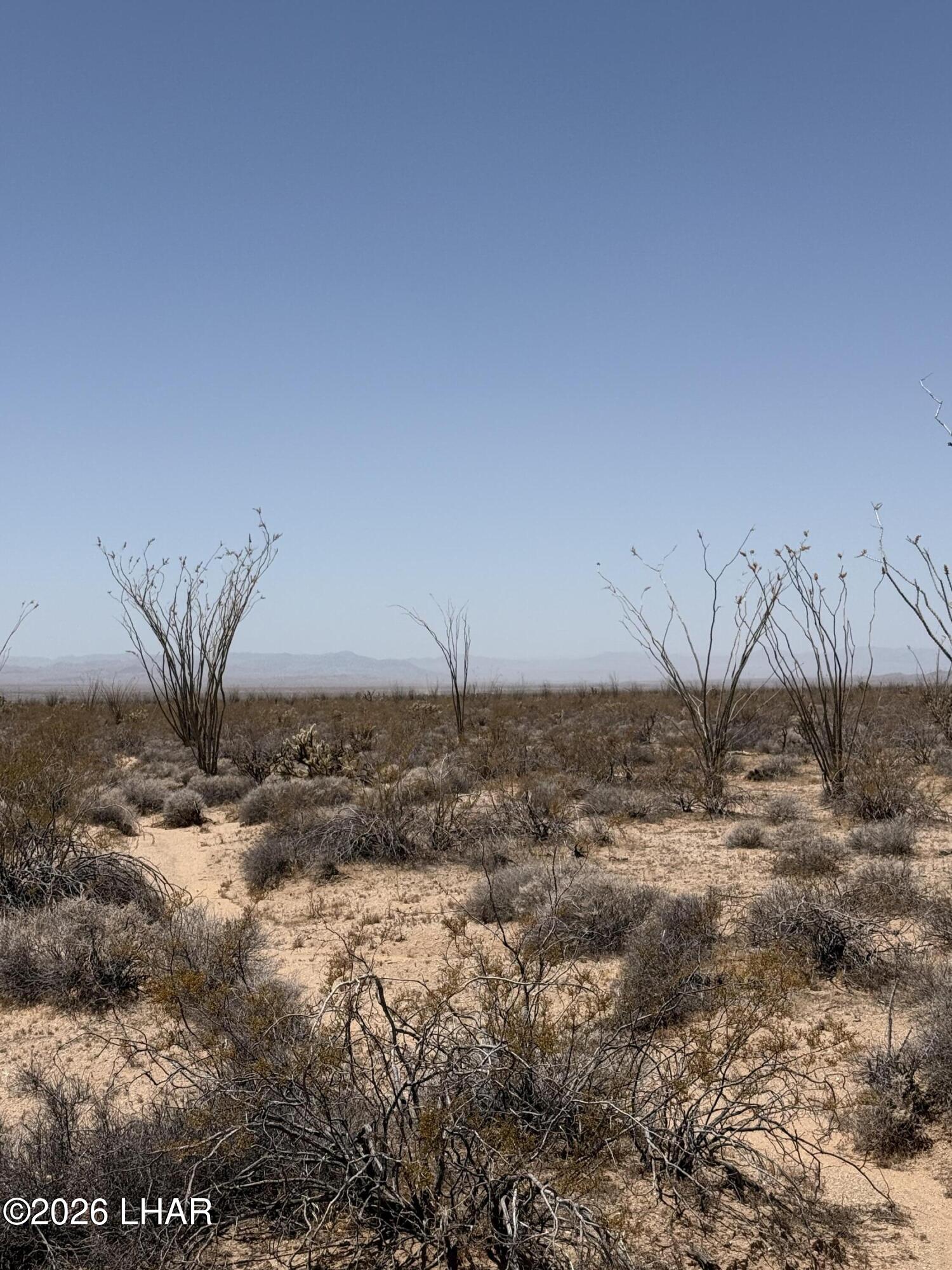 0 South Doc Holliday Road Yucca, AZ 86438 - Photo 8 of 9