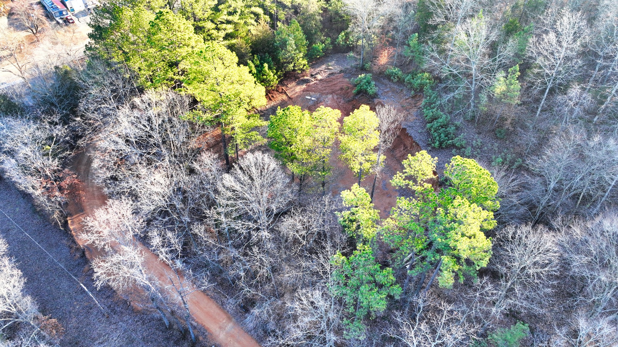 1309 CCC Road Centerville, TN 37033 - Photo 14 of 24 a backyard of a house