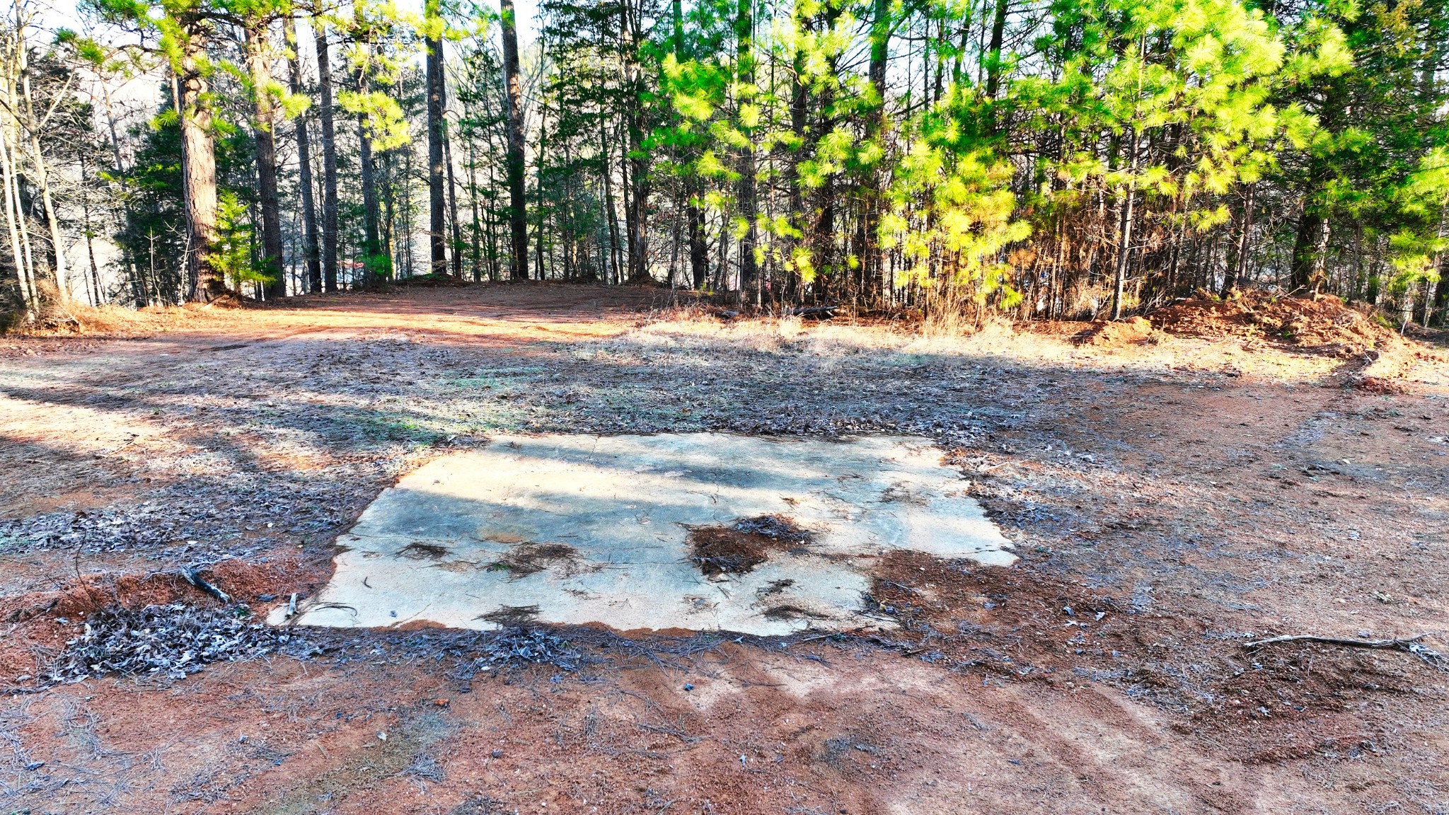 1309 CCC Road Centerville, TN 37033 - Photo 15 of 24 a view of dirt yard with a trees