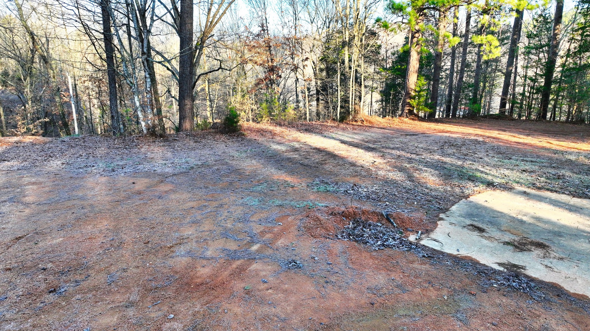 1309 CCC Road Centerville, TN 37033 - Photo 16 of 24 a view of a yard with large trees