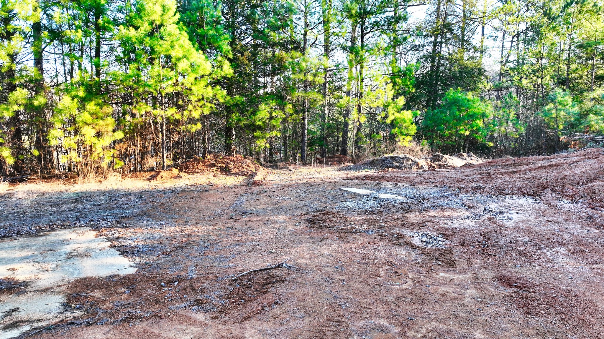 1309 CCC Road Centerville, TN 37033 - Photo 19 of 24 a backyard of a house with a trees
