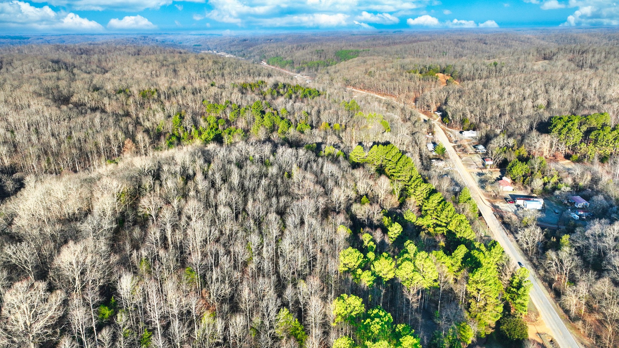 1309 CCC Road Centerville, TN 37033 - Photo 2 of 24 a view of beach and yard