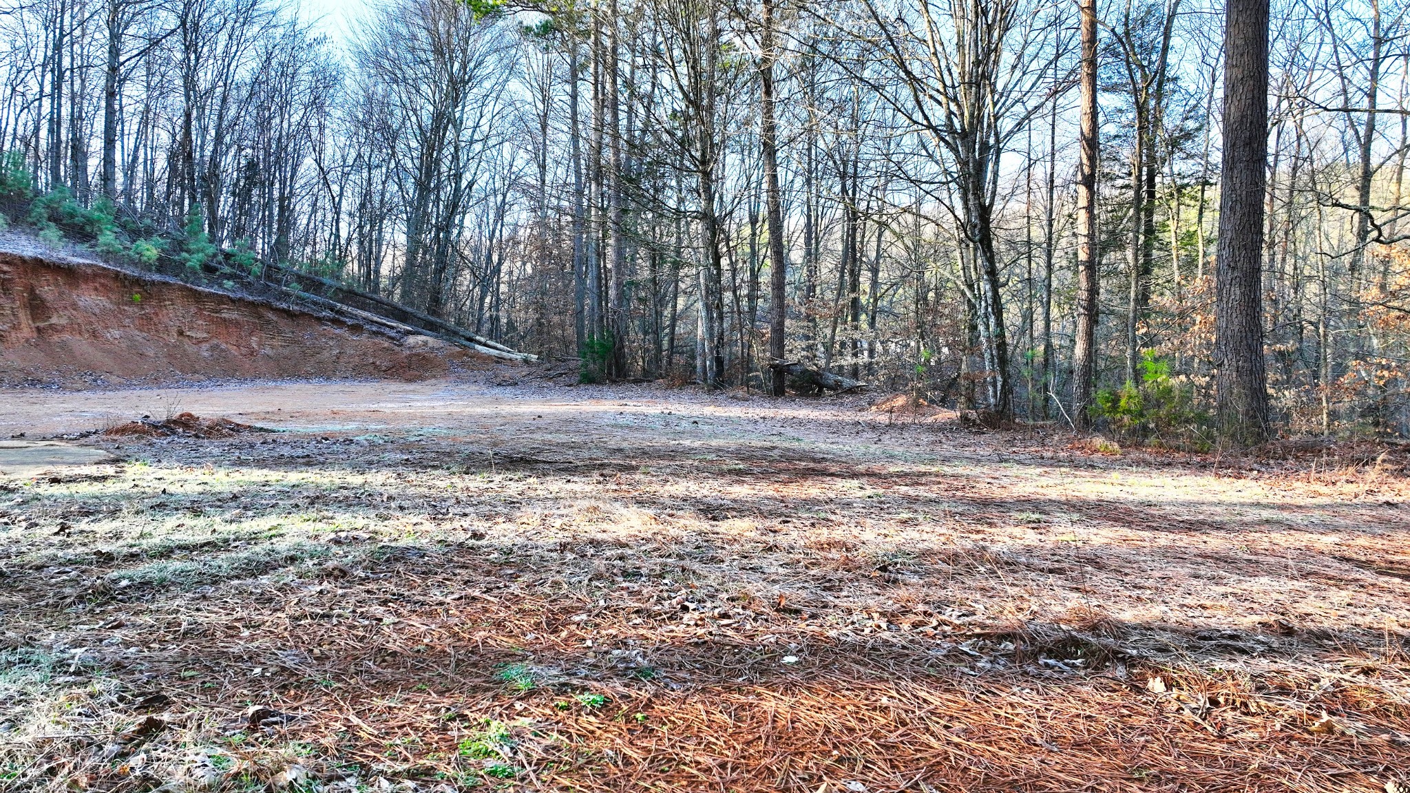 1309 CCC Road Centerville, TN 37033 - Photo 22 of 24 a backyard of a house with lots of green space