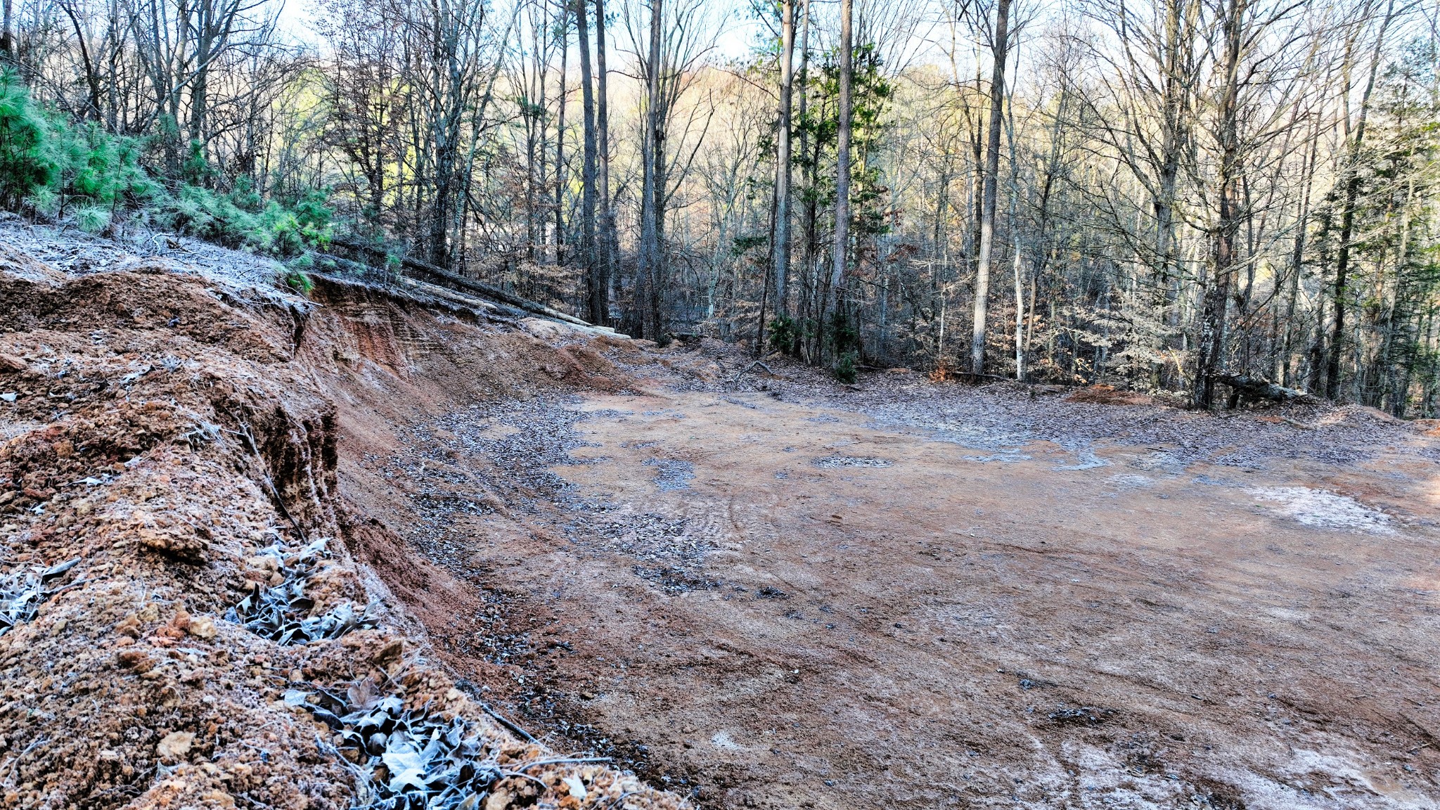 1309 CCC Road Centerville, TN 37033 - Photo 24 of 24 a view of a forest with trees in the background