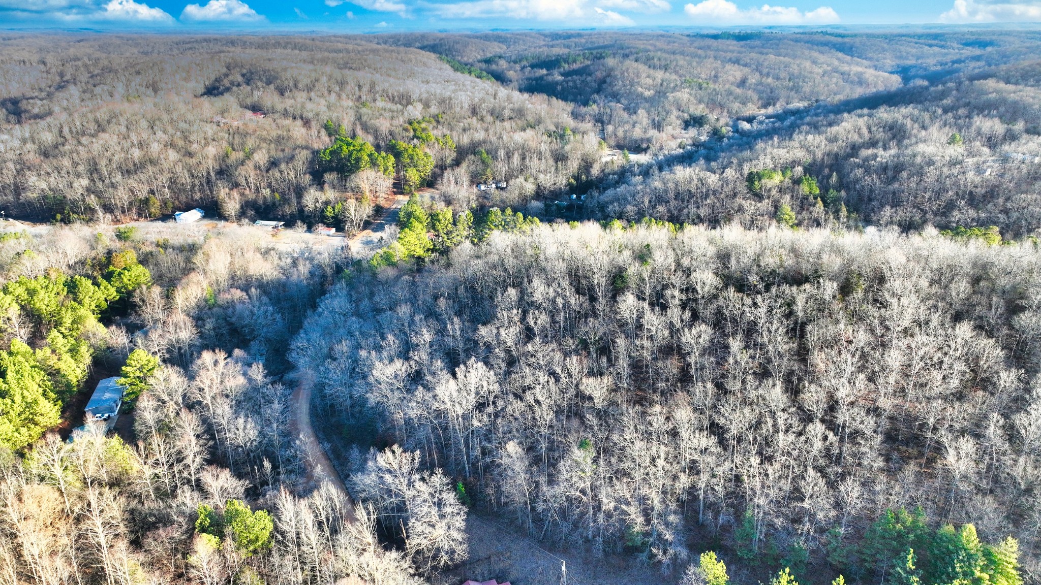 1309 CCC Road Centerville, TN 37033 - Photo 3 of 24 a view of a yard with plants