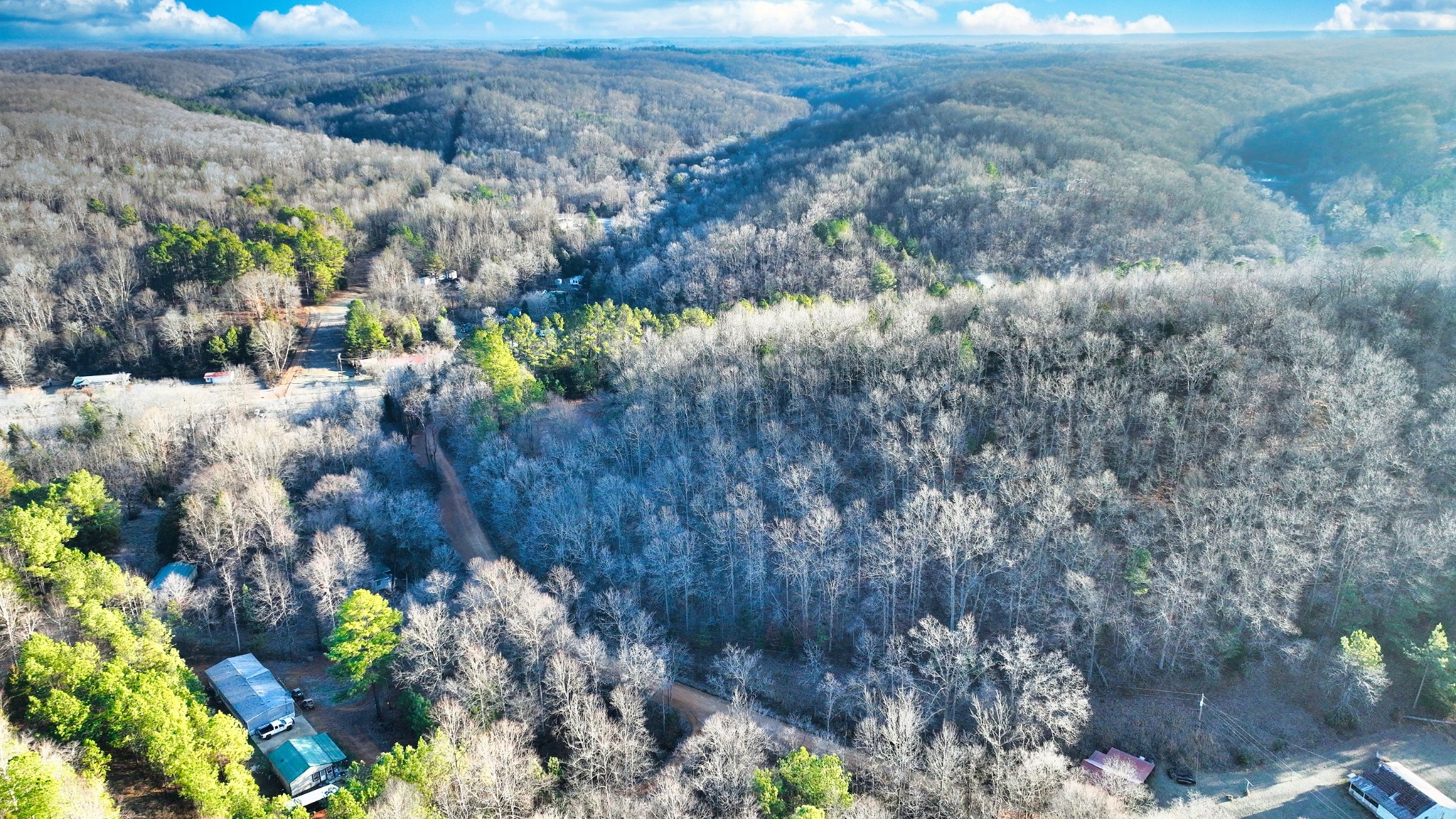 1309 CCC Road Centerville, TN 37033 - Photo 4 of 24 a view of a bunch of flowers and trees