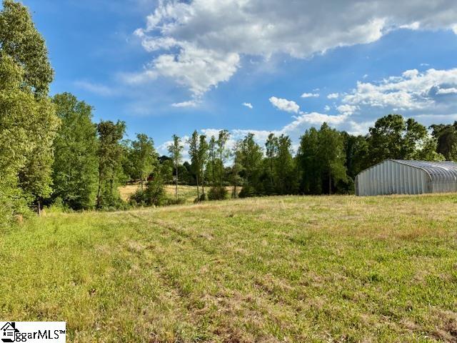 411 Dill Road Campobello, SC 29322 - Photo 11 of 18
