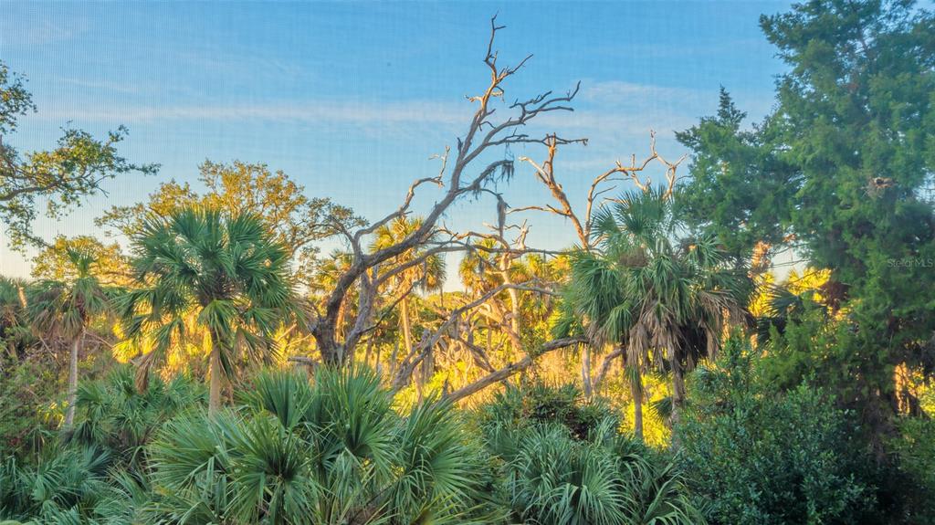 3621 North Point Road, Unit 301 Osprey, FL 34229 - Photo 14 of 95 a backyard of a house with lots of green space