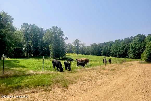 300 Center Crossing Road Kosciusko, MS 39090 - Photo 17 of 48 1765