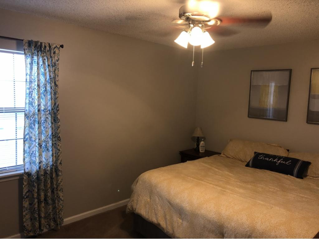 229 Springview Drive Gray, TN 37615 - Photo 15 of 35 Photo 15
