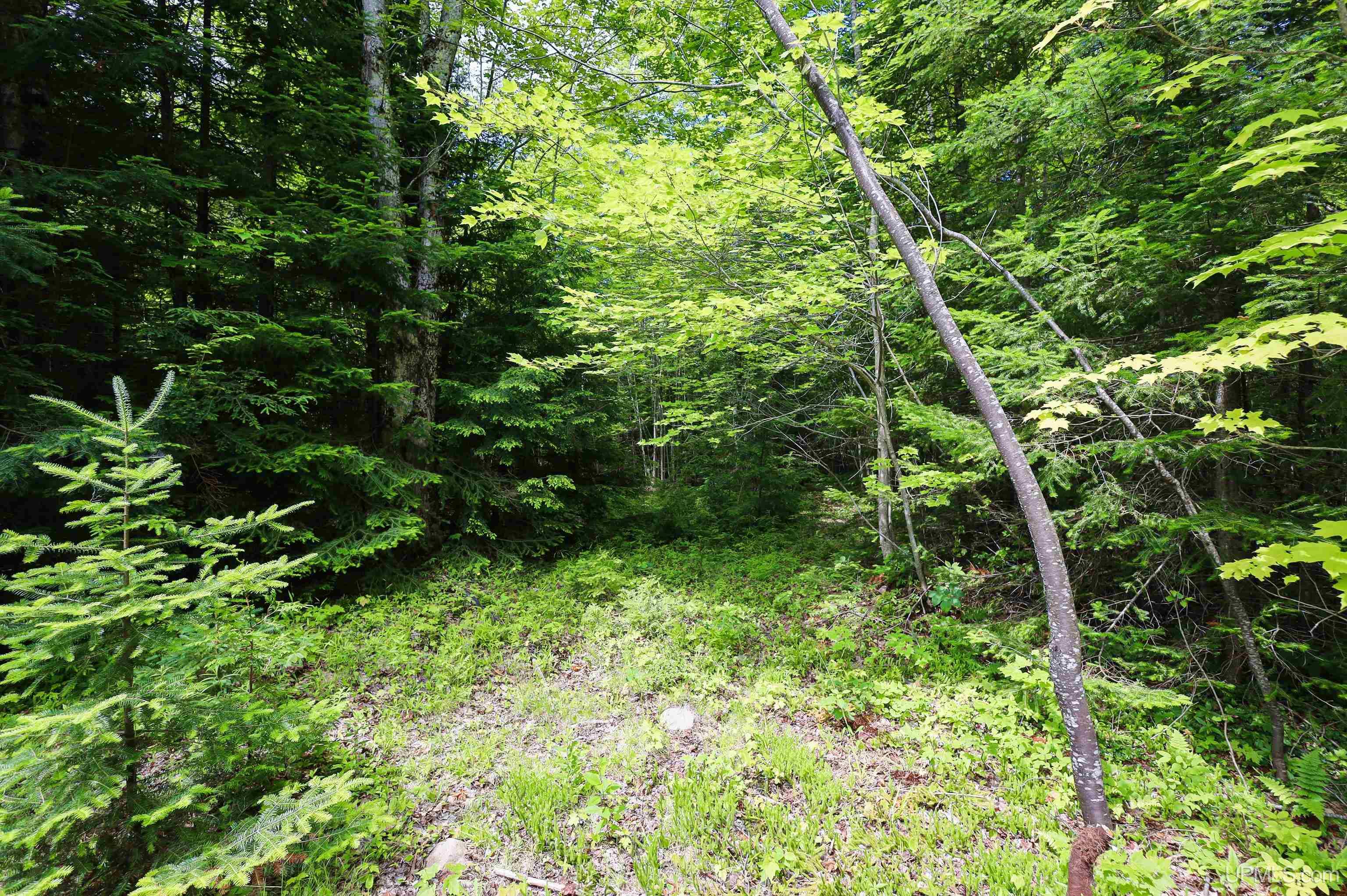 Tbd Sigan Road Marquette, MI 49855 - Photo 26 of 32