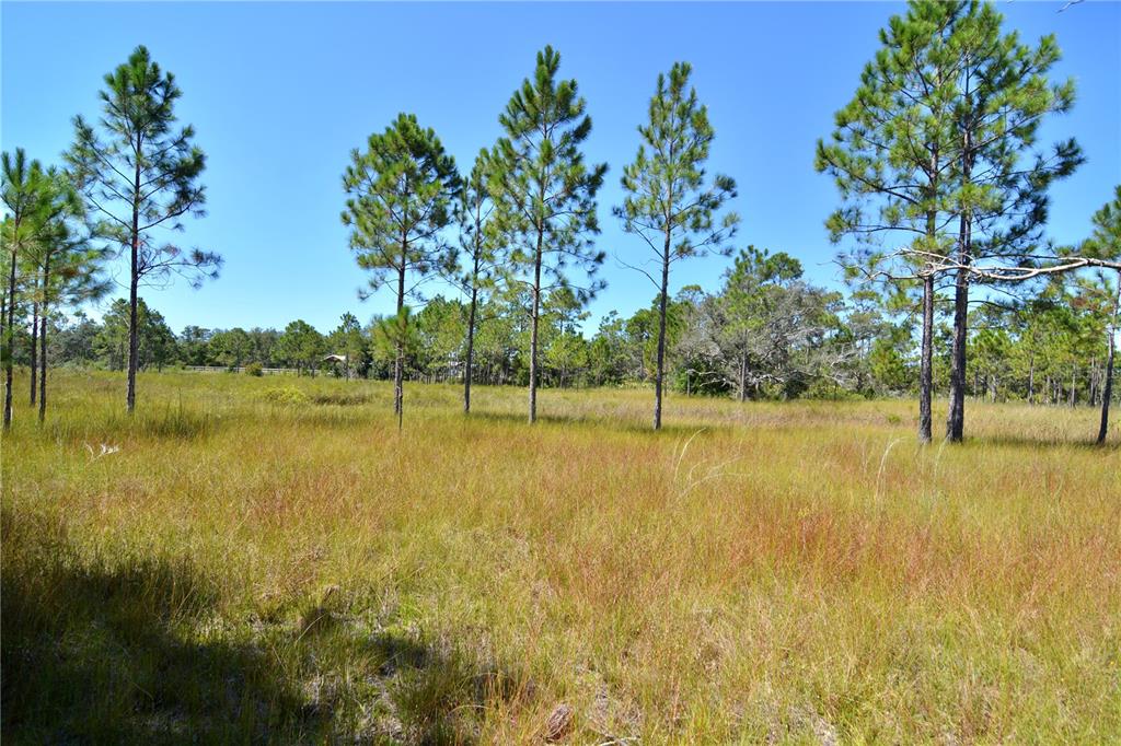 Key Deer Court Perry, FL 32348 - Photo 11 of 33 a view of a lake view