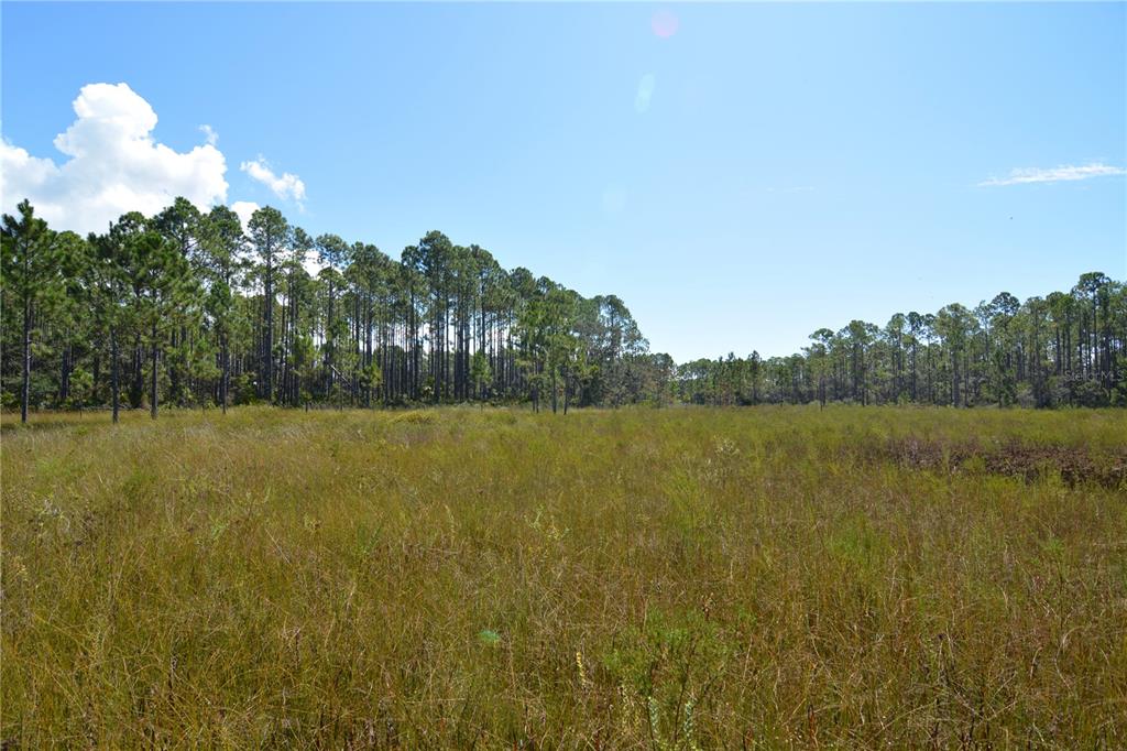 Key Deer Court Perry, FL 32348 - Photo 12 of 33 a view of lake and mountain