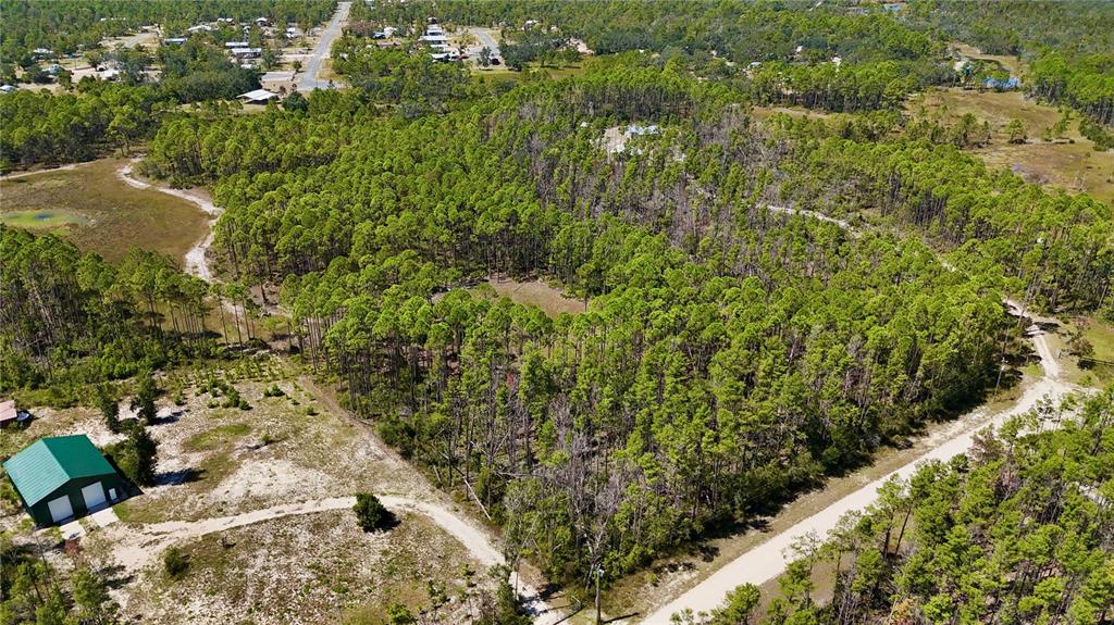 Key Deer Court Perry, FL 32348 - Photo 15 of 33 a view of a yard with plants and large trees