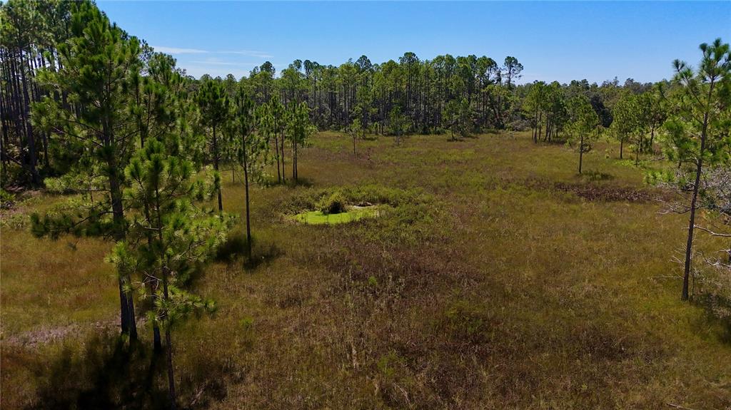 Key Deer Court Perry, FL 32348 - Photo 18 of 33 a view of a lake with a forest
