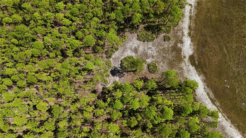 Key Deer Court Perry, FL 32348 - Photo 19 of 33