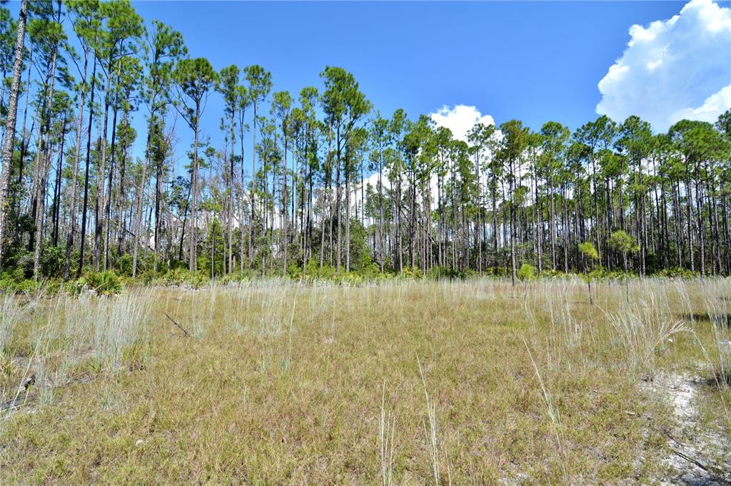 Key Deer Court Perry, FL 32348 - Photo 21 of 33