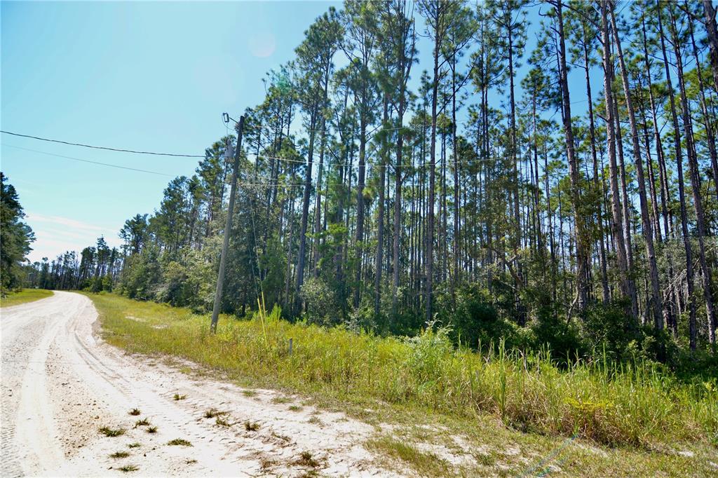 Key Deer Court Perry, FL 32348 - Photo 22 of 33 a view of a lake view