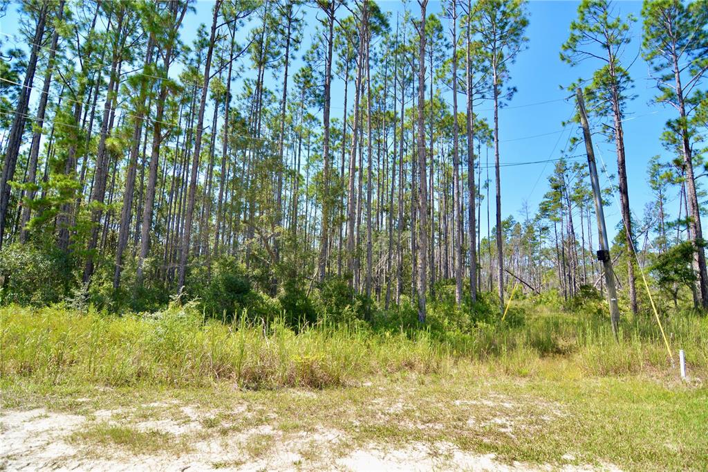Key Deer Court Perry, FL 32348 - Photo 23 of 33 a view of swimming pool from a yard