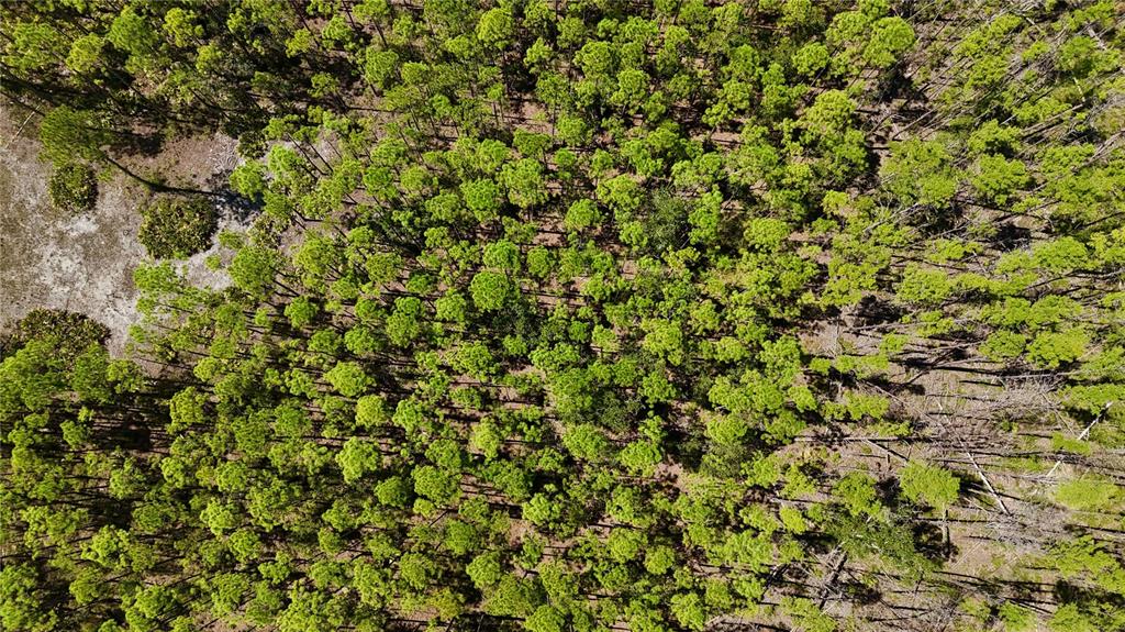 Key Deer Court Perry, FL 32348 - Photo 25 of 33