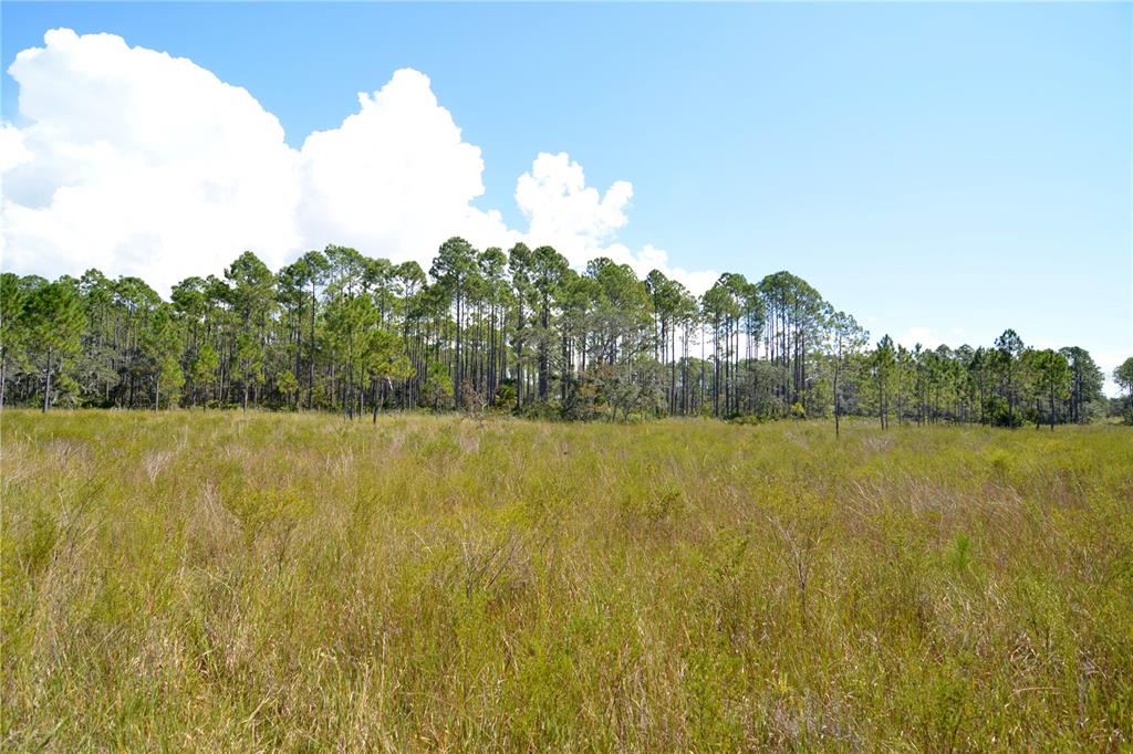 Key Deer Court Perry, FL 32348 - Photo 27 of 33 a view of lake and mountain