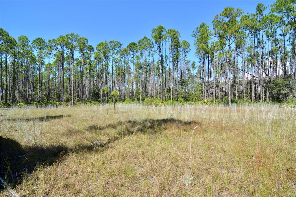 Key Deer Court Perry, FL 32348 - Photo 4 of 33 a view of a lake view
