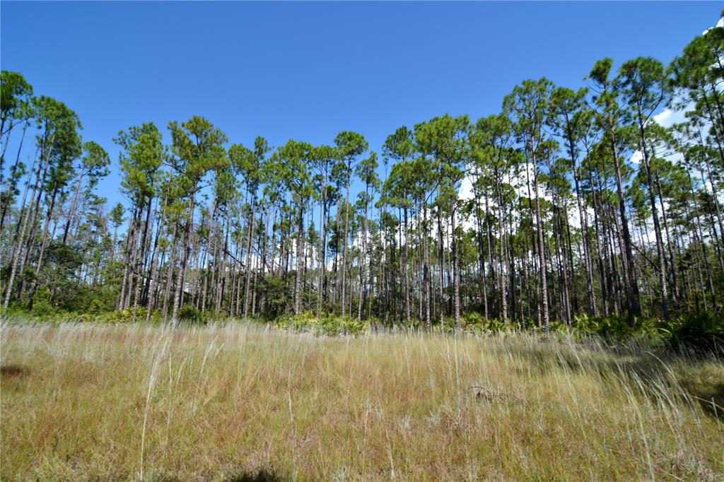 Key Deer Court Perry, FL 32348 - Photo 5 of 33 a view of lake