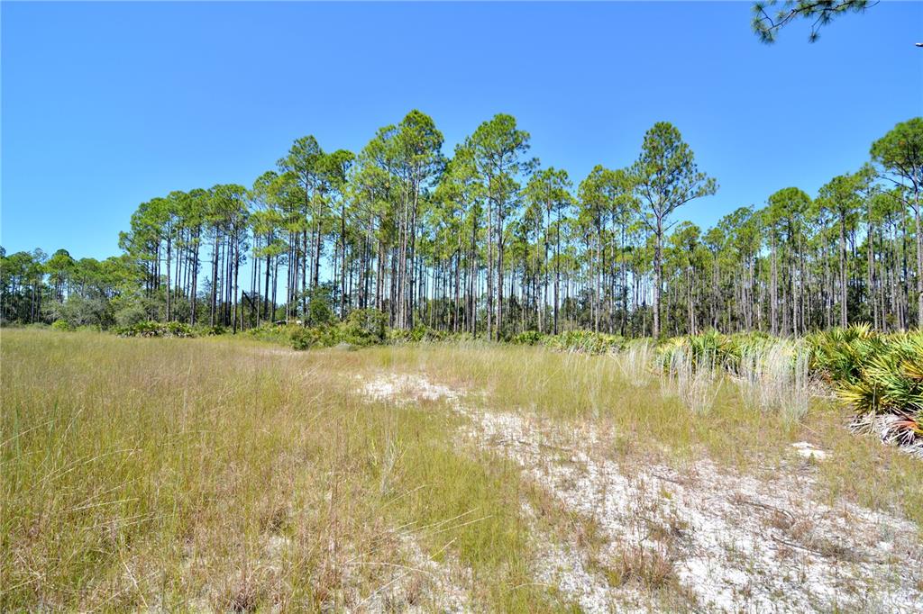 Key Deer Court Perry, FL 32348 - Photo 8 of 33 a view of lake