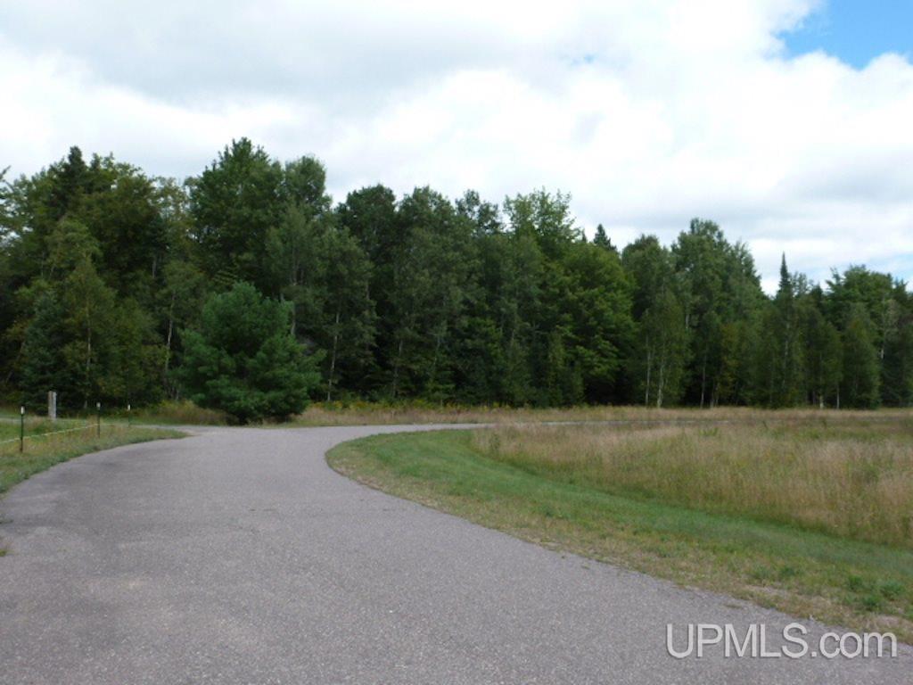 436 Town Hall Road Skandia, MI 49885 - Photo 24 of 32