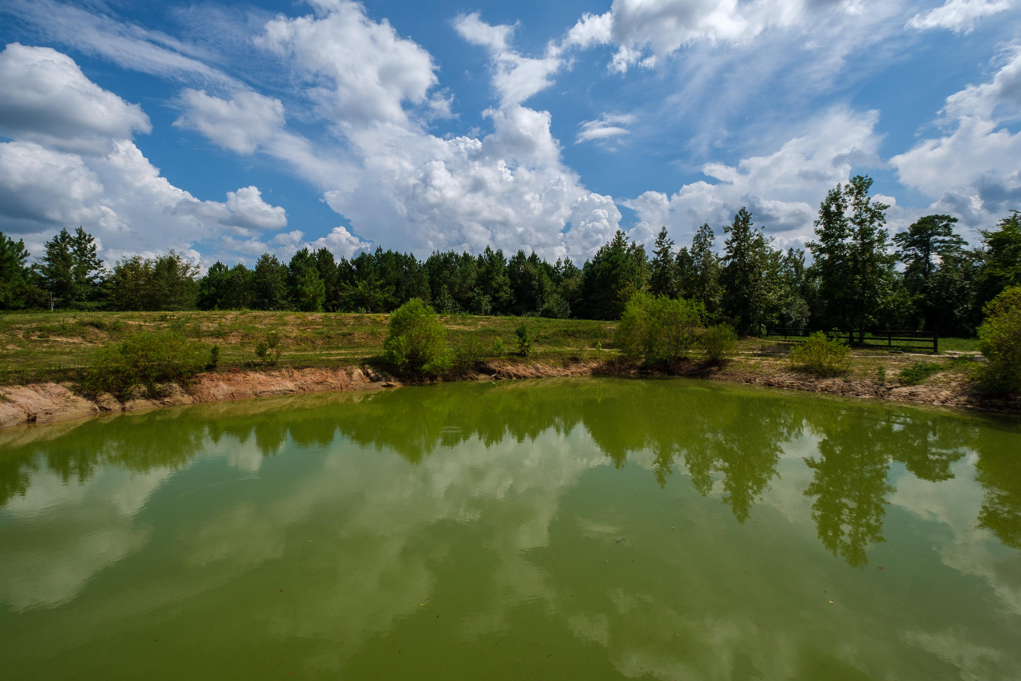 740 Fourwind Road Holly Hill, SC 29059 - Photo 18 of 55 Nathan Henderson-740 Fourwind Rd-WEB-34