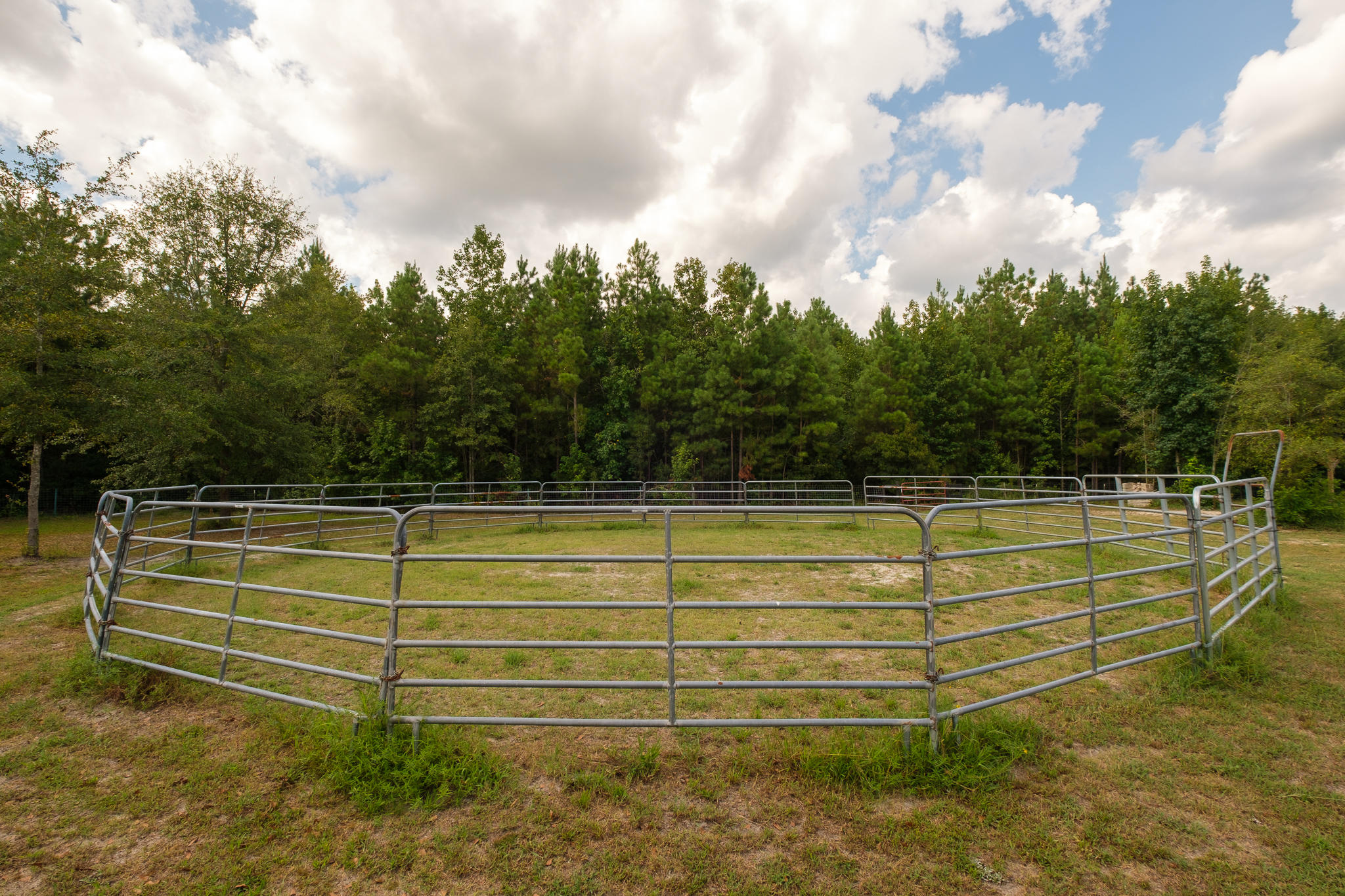 740 Fourwind Road Holly Hill, SC 29059 - Photo 26 of 55 Nathan Henderson-740 Fourwind Rd-WEB-41