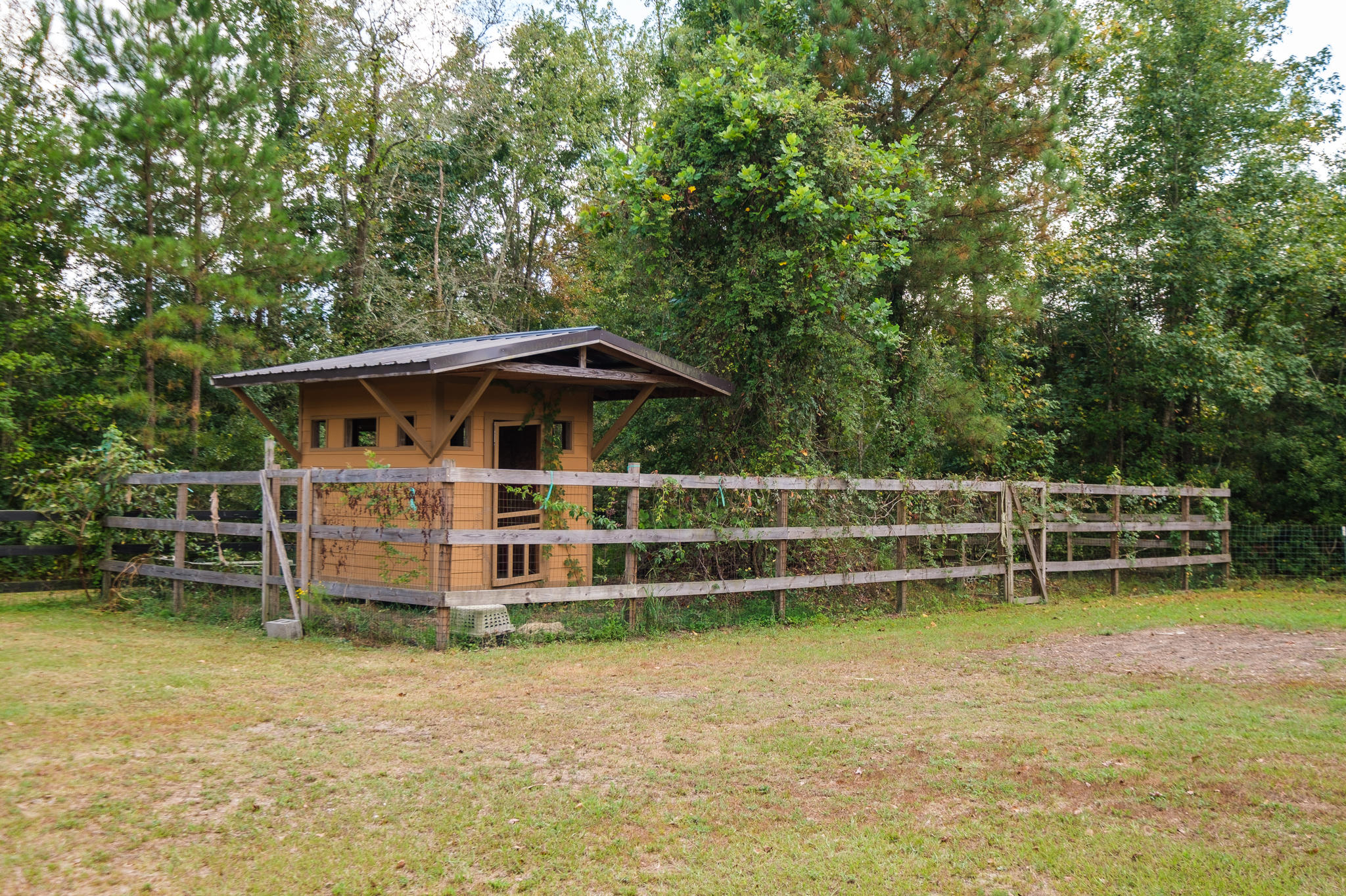 740 Fourwind Road Holly Hill, SC 29059 - Photo 28 of 55 Nathan Henderson-740 Fourwind Rd-WEB-42