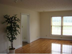 651 Hales Chapel Road Gray, TN 37615 - Photo 3 of 7 Photo 3