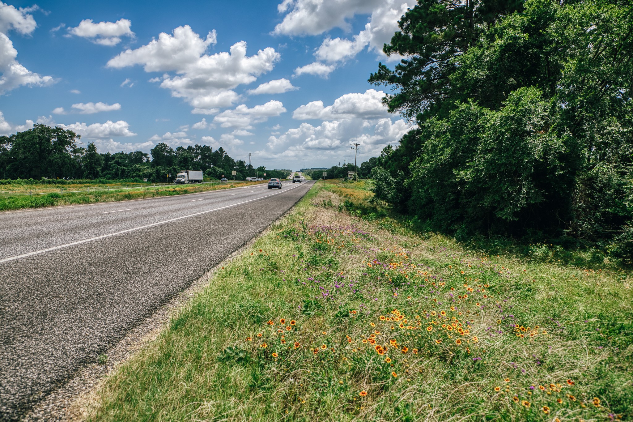 28439 Highway 6 Hempstead, TX 77445 - Photo 8 of 9 Highway frontage