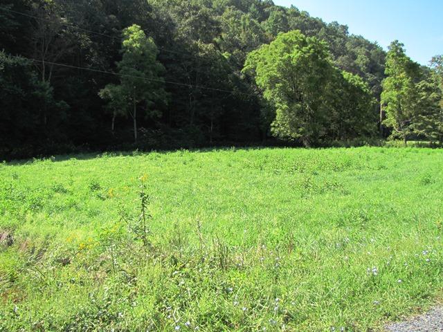 2402 Lillydale-Back Creek Road Union, WV 24983 - Photo 39 of 49 Gallery Image 39