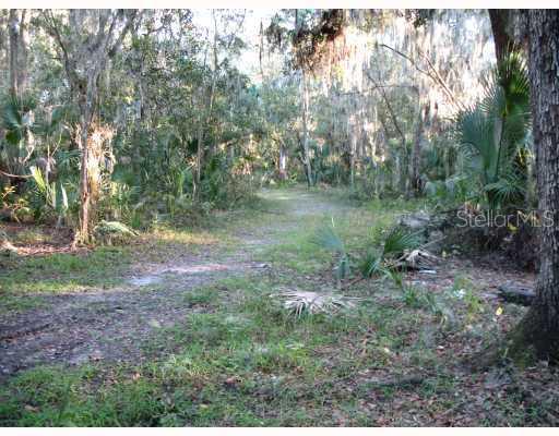 7207 Alafia Ridge Road Riverview, FL 33569 - Photo 1 of 1 Exterior Front