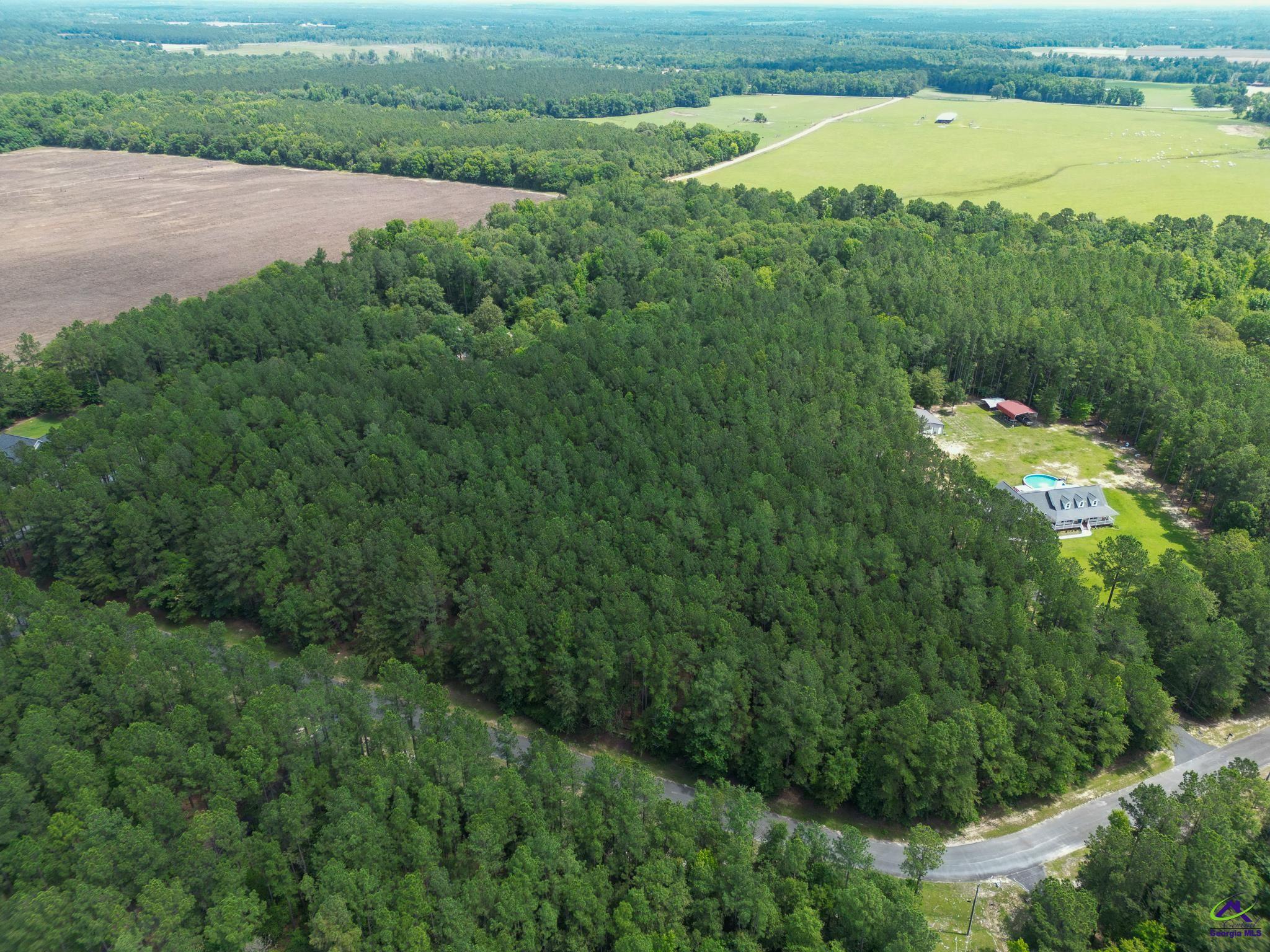 Lot 9 Cherokee Trail Road Eastman, GA 31023 - Photo 15 of 18