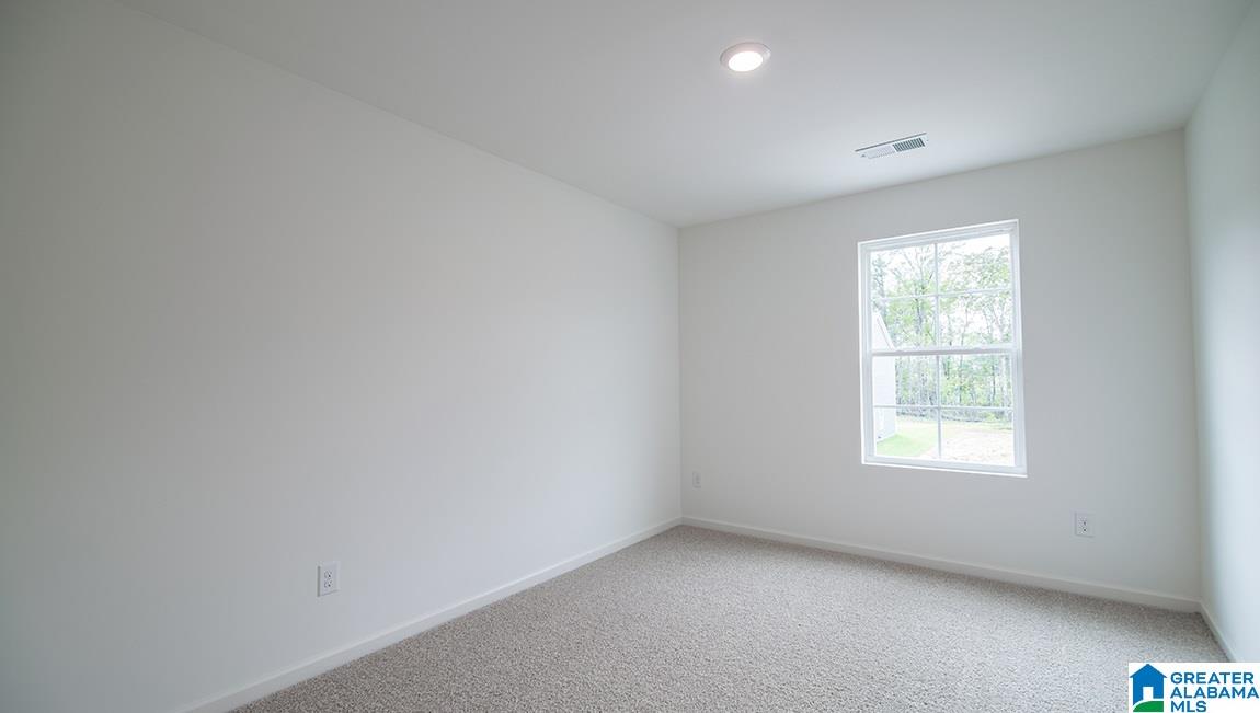 237 Park View Circle Chelsea, AL 35043 - Photo 22 of 46