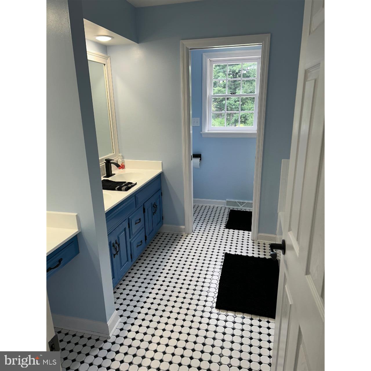 106 Hammersmith Lane Lititz, PA 17543 - Photo 20 of 28 a bathroom with a sink a toilet a window and vanity