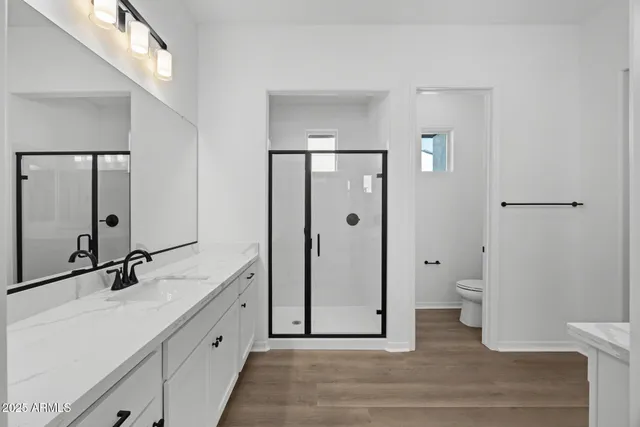 a bathroom with a double vanity sink mirror and toilet