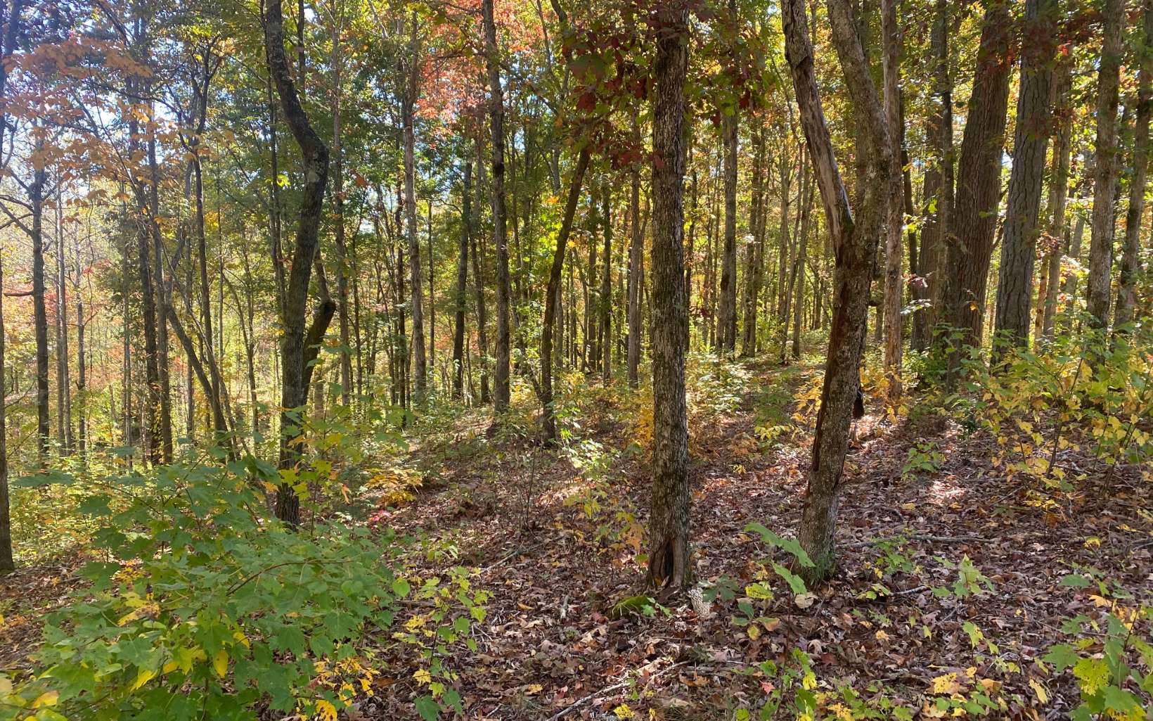 179 R Overlook Drive Ellijay, GA 30540 - Photo 5 of 14 Additional View