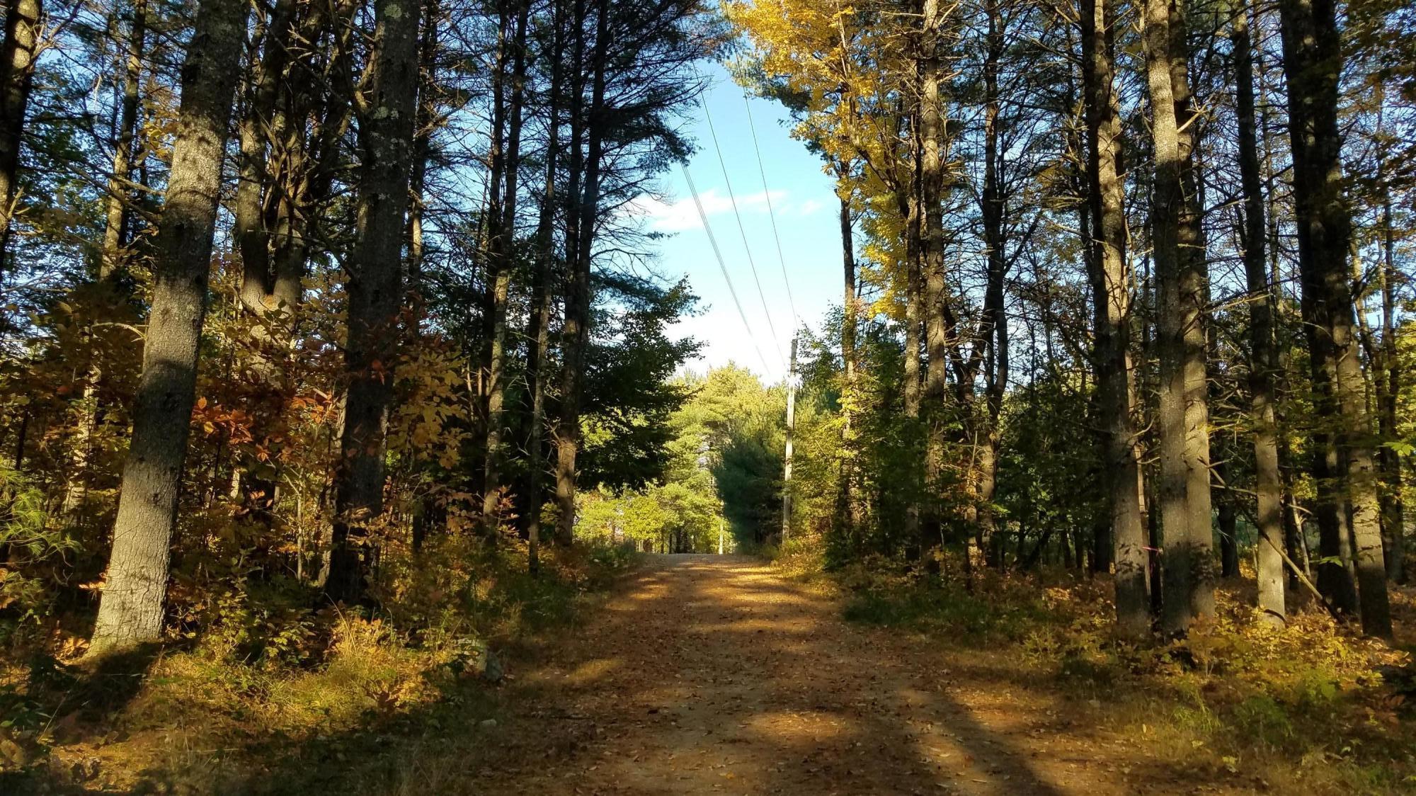 290 Sam Ingalls Road Bridgton, ME 04009 - Photo 53 of 59 20201005_160824